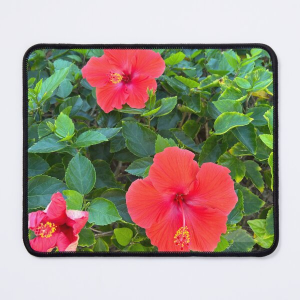 Item preview, Flowers designed and sold by Lauracolleen3.