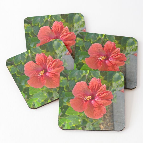 Item preview, Flowers  designed and sold by Lauracolleen3.