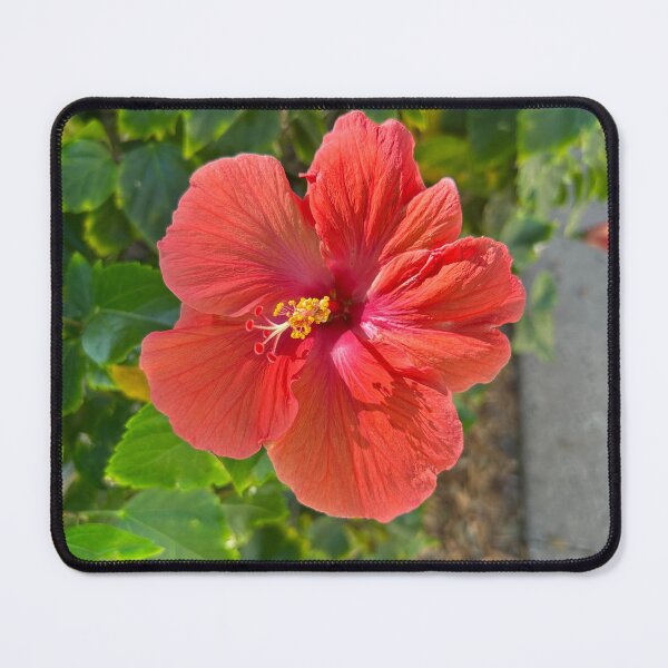 Item preview, Flowers designed and sold by Lauracolleen3.