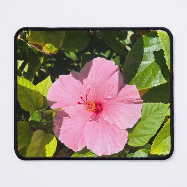 Item preview, Pink flowers designed and sold by Lauracolleen3.