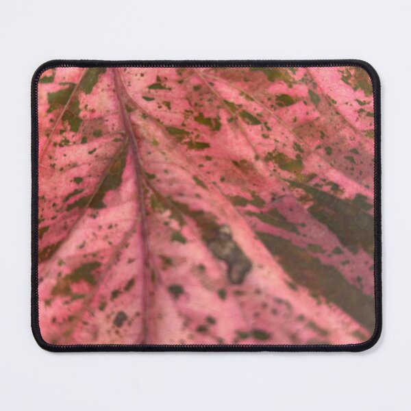 Item preview, Leaf designed and sold by Lauracolleen3.