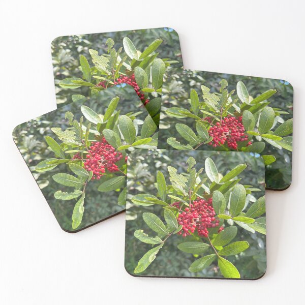 Item preview, Berries  designed and sold by Lauracolleen3.