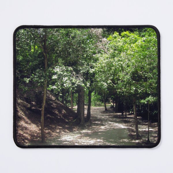 Item preview, Sunlit Path Into the Unknown designed and sold by heatherfriedman.