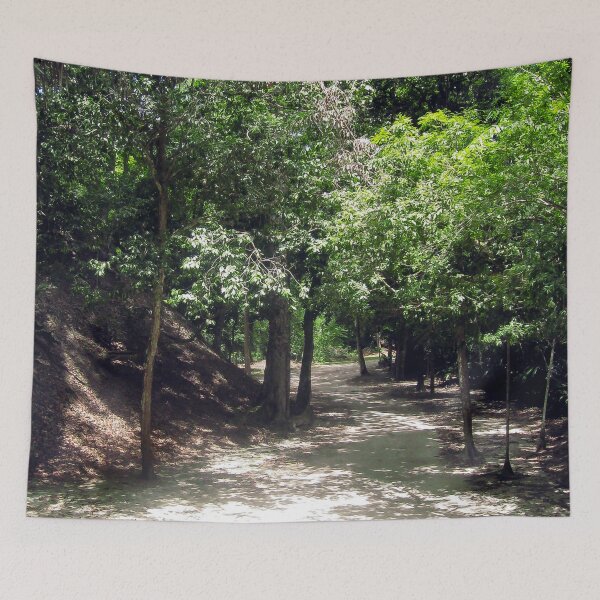 Item preview, Sunlit Path Into the Unknown designed and sold by heatherfriedman.