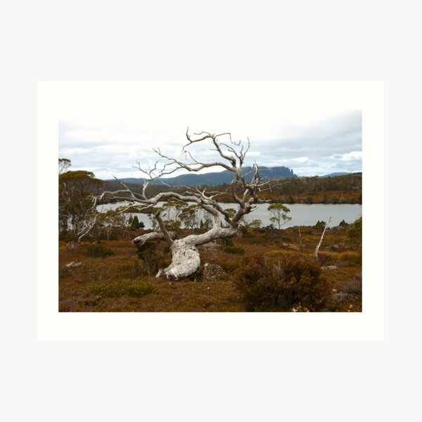 Lake Windermere, Overland Track, Tasmania Art Print
