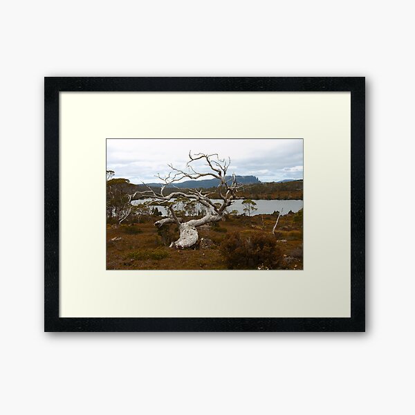 Lake Windermere, Overland Track, Tasmania Framed Art Print