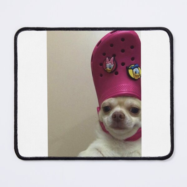 Item preview, Funny dog meme with crocs designed and sold by urfer.
