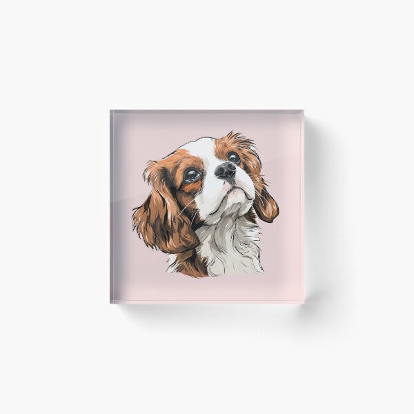 Item preview, cavalier king charles spaniel dog designed and sold by aeaeaeae.