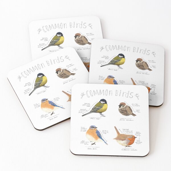 Item preview, Common birds poster designed and sold by Kaidrawsthings.