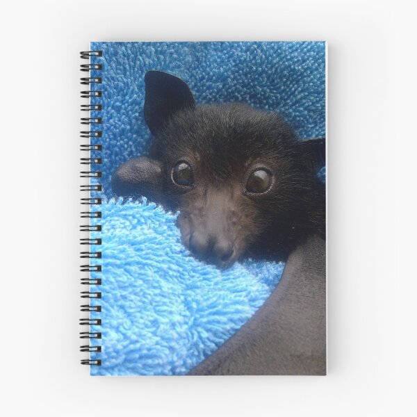 Item preview, Baby Bat Cruz In Blue. designed and sold by BabyBats.