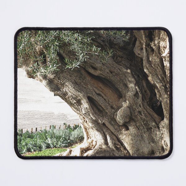 Item preview, BC. designed and sold by Paul Pasco.