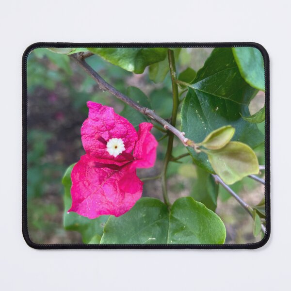 Item preview, Pink flowers  designed and sold by Lauracolleen3.