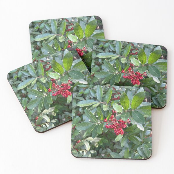 Item preview, Berries  designed and sold by Lauracolleen3.