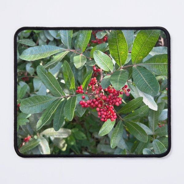 Item preview, Berries designed and sold by Lauracolleen3.