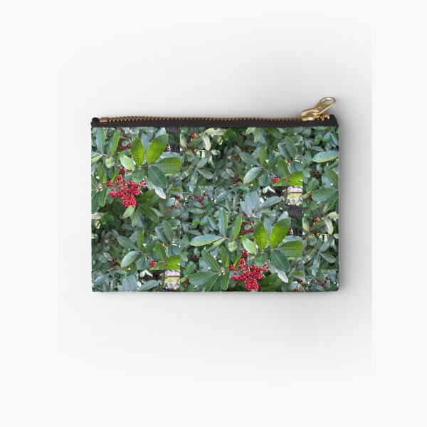 Item preview, Berries  designed and sold by Lauracolleen3.