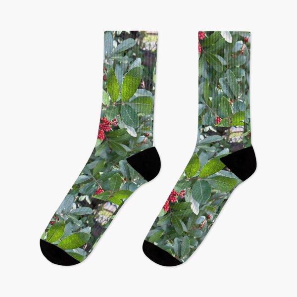 Item preview, Berries  designed and sold by Lauracolleen3.