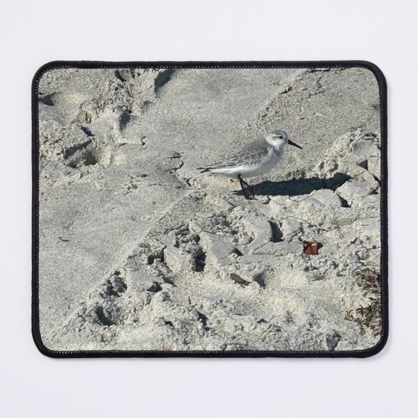 Item preview, Beach designed and sold by Lauracolleen3.