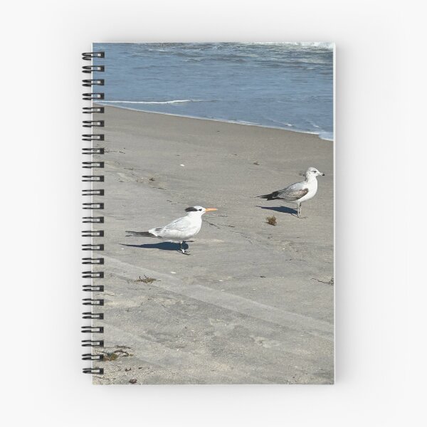 Item preview, Seagulls  designed and sold by Lauracolleen3.