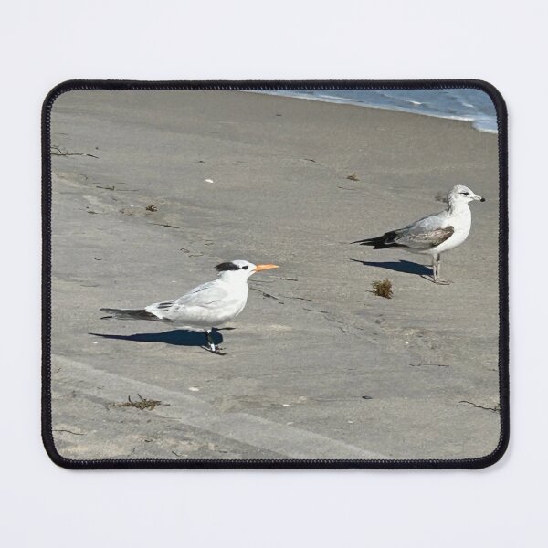 Item preview, Seagulls designed and sold by Lauracolleen3.