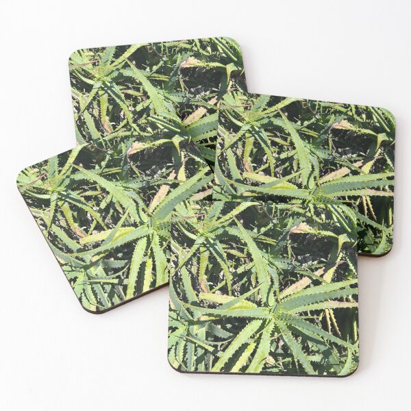 Item preview, Aloe designed and sold by Lauracolleen3.