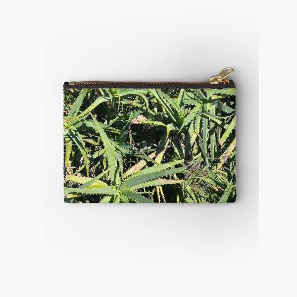 Item preview, Aloe designed and sold by Lauracolleen3.