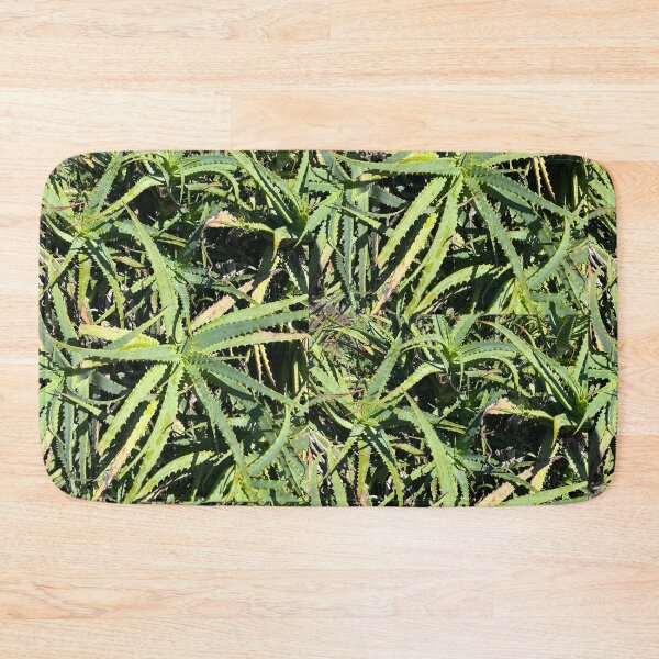 Item preview, Aloe designed and sold by Lauracolleen3.