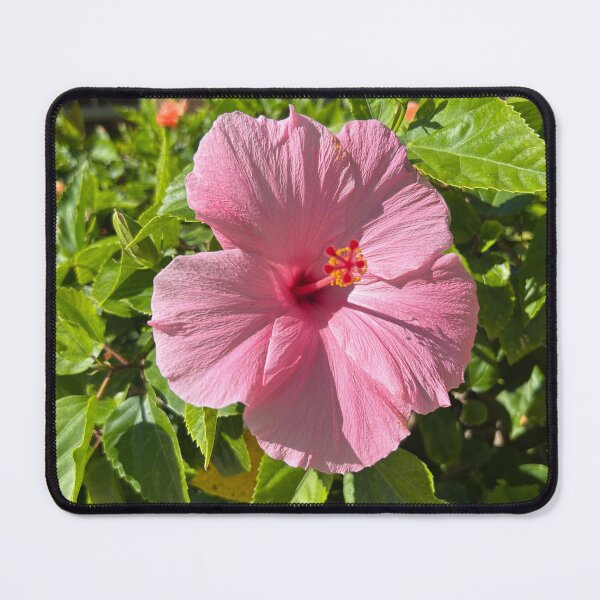 Item preview, Pink flower designed and sold by Lauracolleen3.