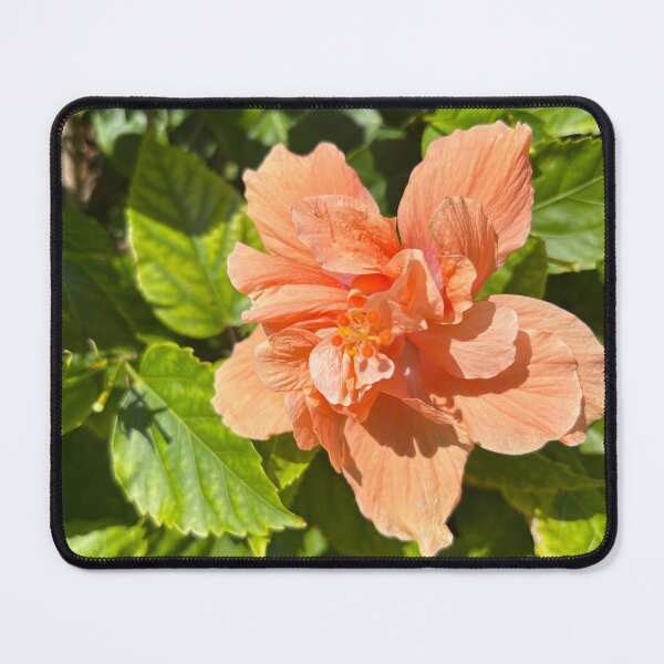 Item preview, Orange flower designed and sold by Lauracolleen3.