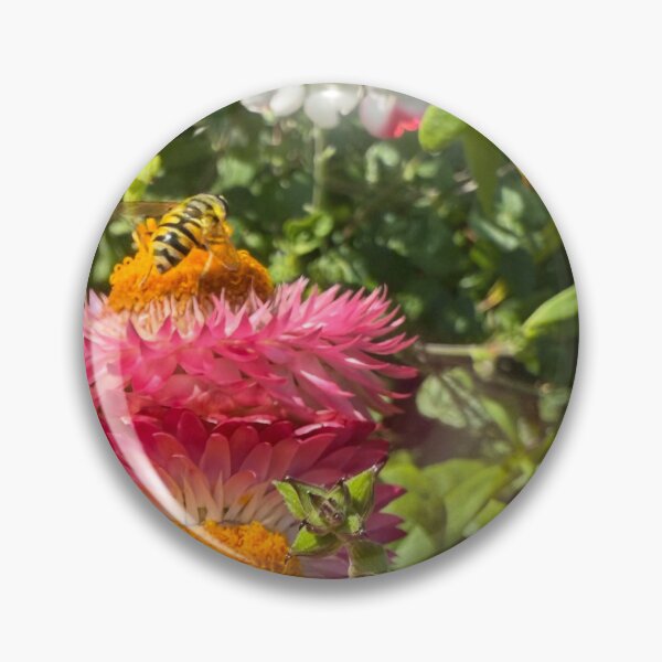 Item preview, Flora and Fauna: Helichrysum - Strawflower designed and sold by DesignVixen.
