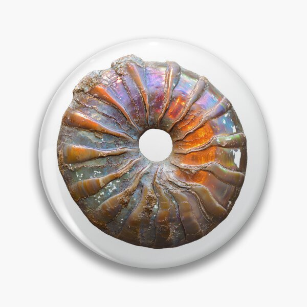 Item preview, Iridescent Ammonite Fossil Ammolite Rainbow Shell designed and sold by ys96.