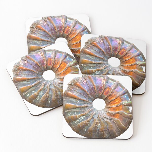 Item preview, Iridescent Ammonite Fossil Ammolite Rainbow Shell designed and sold by ys96.