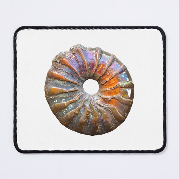 Item preview, Iridescent Ammonite Fossil Ammolite Rainbow Shell designed and sold by ys96.