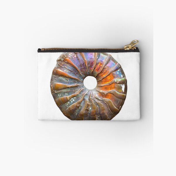 Item preview, Iridescent Ammonite Fossil Ammolite Rainbow Shell designed and sold by ys96.