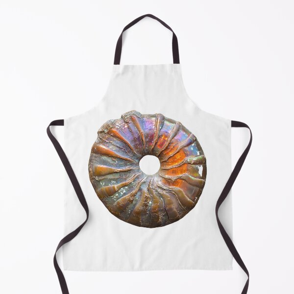 Item preview, Iridescent Ammonite Fossil Ammolite Rainbow Shell designed and sold by ys96.
