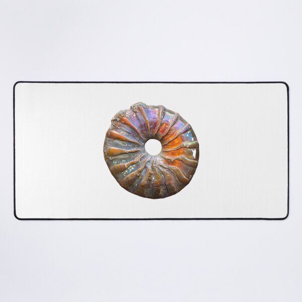 Item preview, Iridescent Ammonite Fossil Ammolite Rainbow Shell designed and sold by ys96.