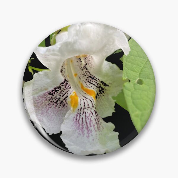 Item preview, Northern Catalpa designed and sold by Canada Anemone.