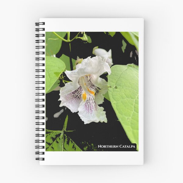 Item preview, Northern Catalpa designed and sold by Canada Anemone.