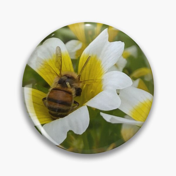 Item preview, Poached Egg Plant designed and sold by DesignVixen.