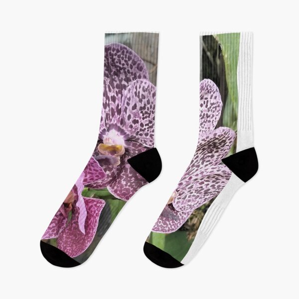 Item preview, blooming orchid designed and sold by ElinaAlton.