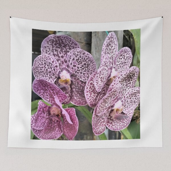 Item preview, blooming orchid designed and sold by ElinaAlton.