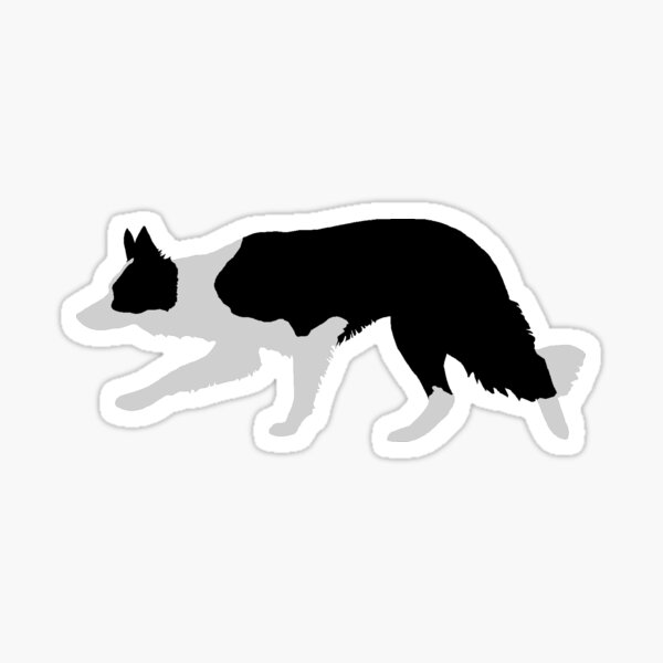 Border Collie (Black and White) Sticker