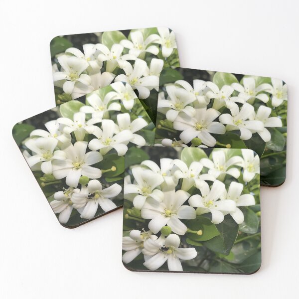 Item preview, white jasmine designed and sold by ElinaAlton.