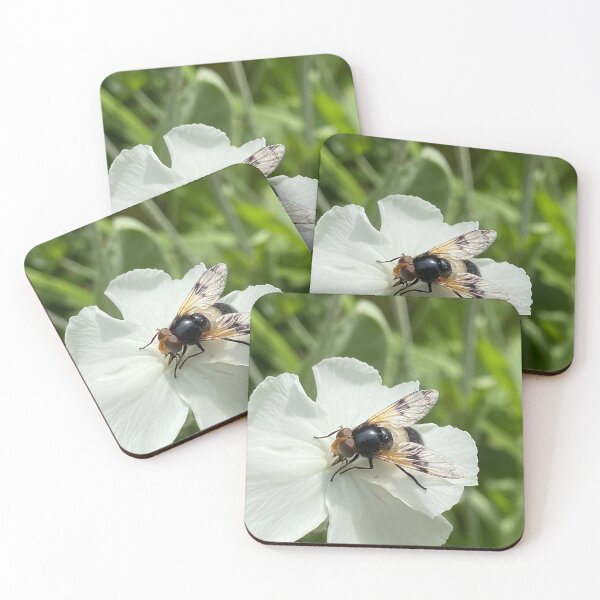 Item preview, Great Pied Hoverfly on herb plant designed and sold by DesignVixen.