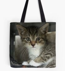 Babyboy Tote Bag