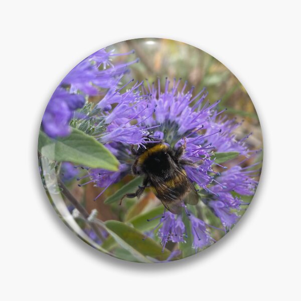 Item preview, Bumblebee and Bluebeard designed and sold by DesignVixen.