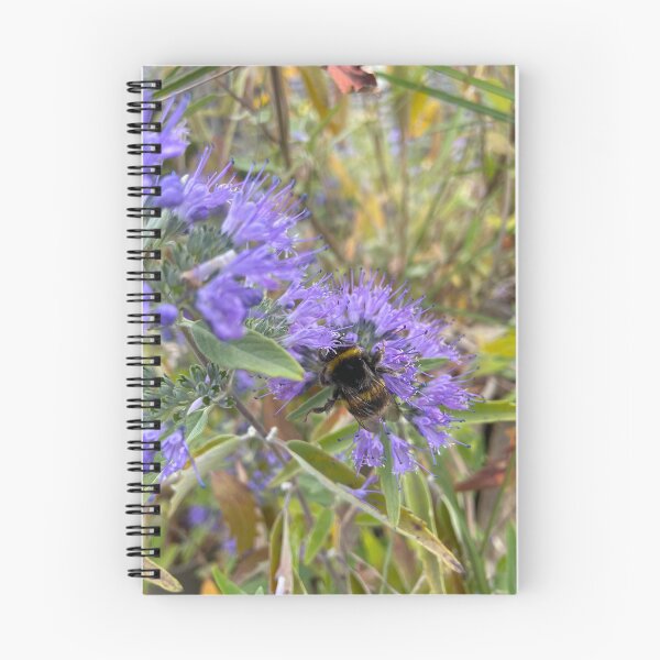 Item preview, Bumblebee and Bluebeard designed and sold by DesignVixen.