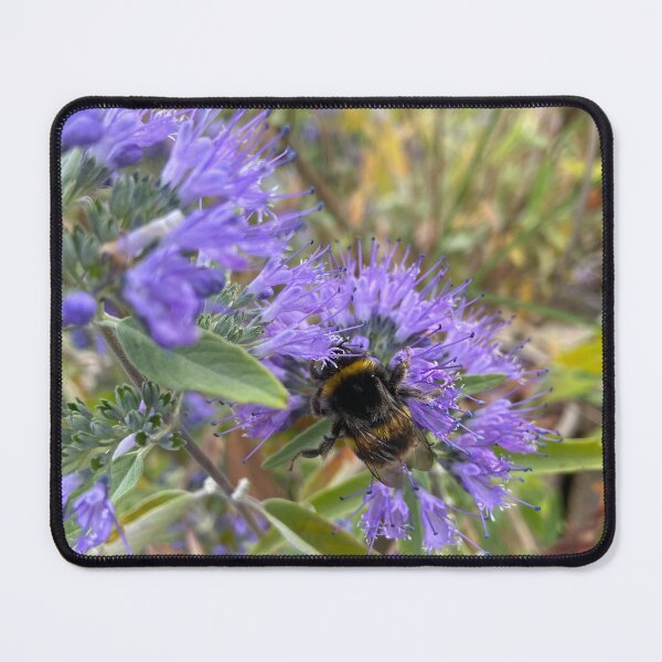 Item preview, Bumblebee and Bluebeard designed and sold by DesignVixen.