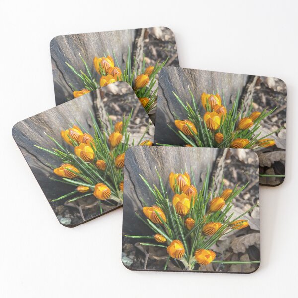 Item preview, Crocuses designed and sold by DesignVixen.