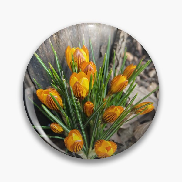 Item preview, Crocuses designed and sold by DesignVixen.