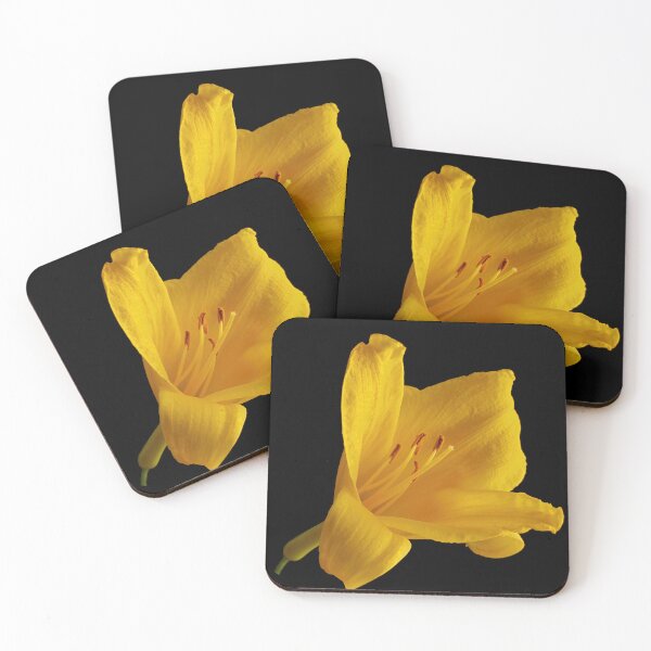Item preview, Golden Bloom in Shadow - Yellow Daylily designed and sold by Armadillo222.